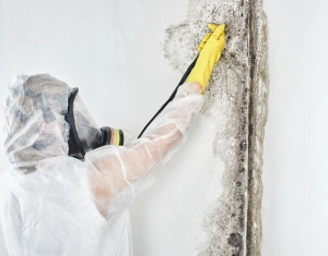 Bauleistungen Ingelheim